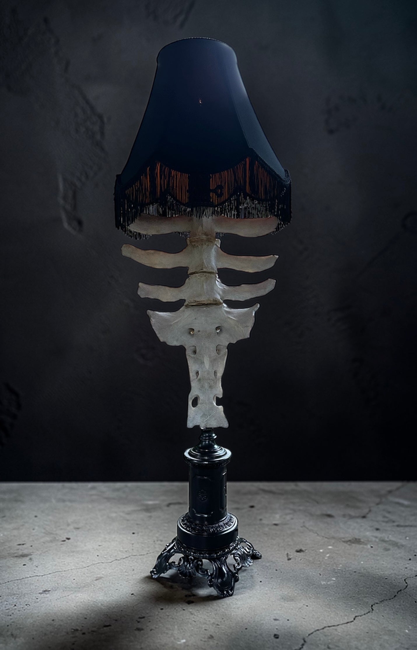 Cow Vertebrae and Sacrum Gothic Black Lamp